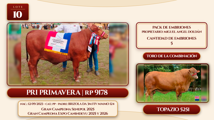 Lote LOTE 10
