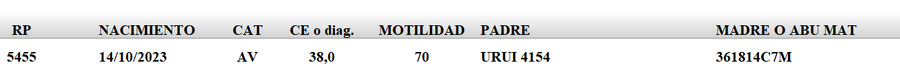 Lote LOTE 35