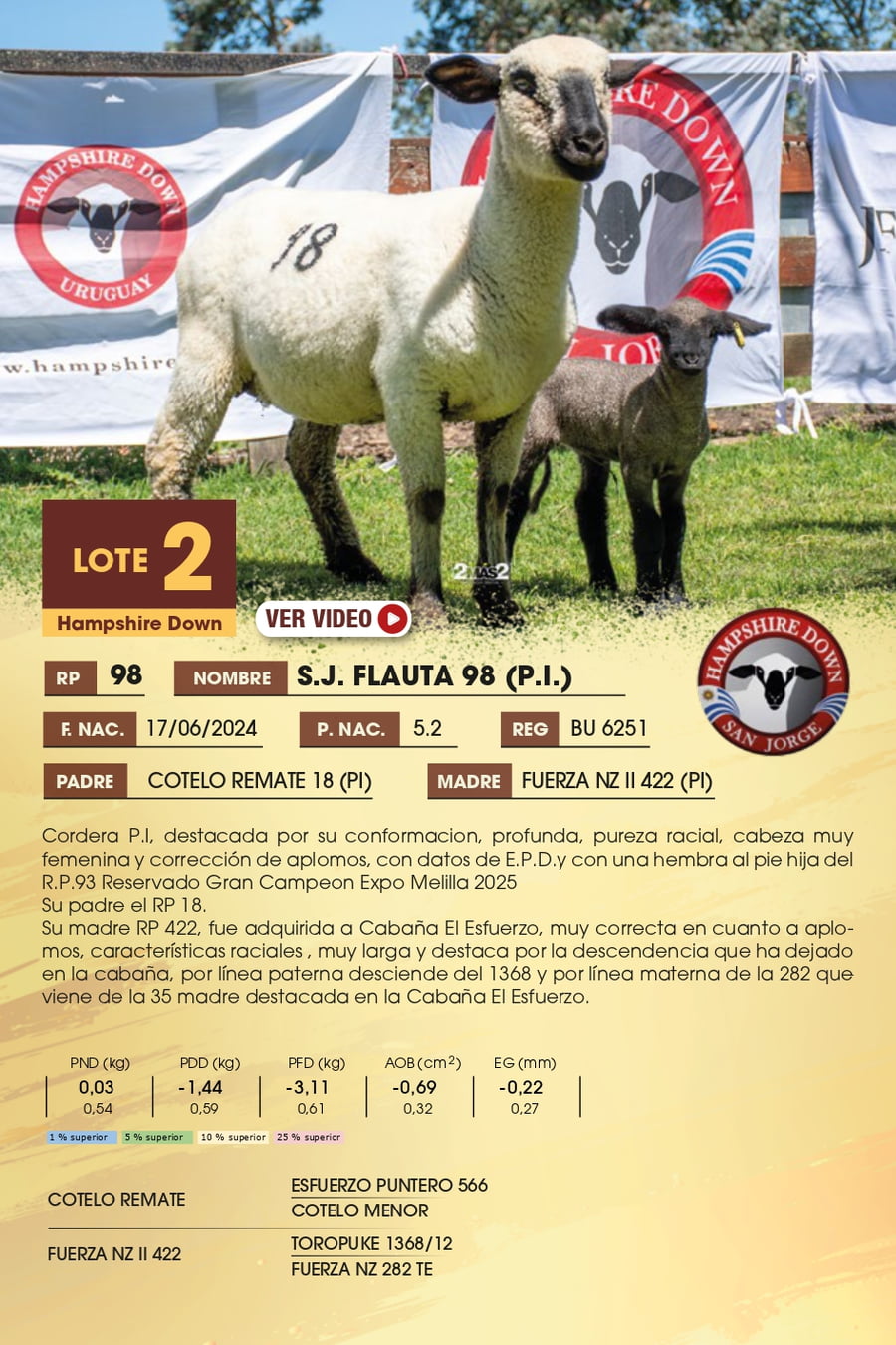 Lote 2 - Hampshire Down