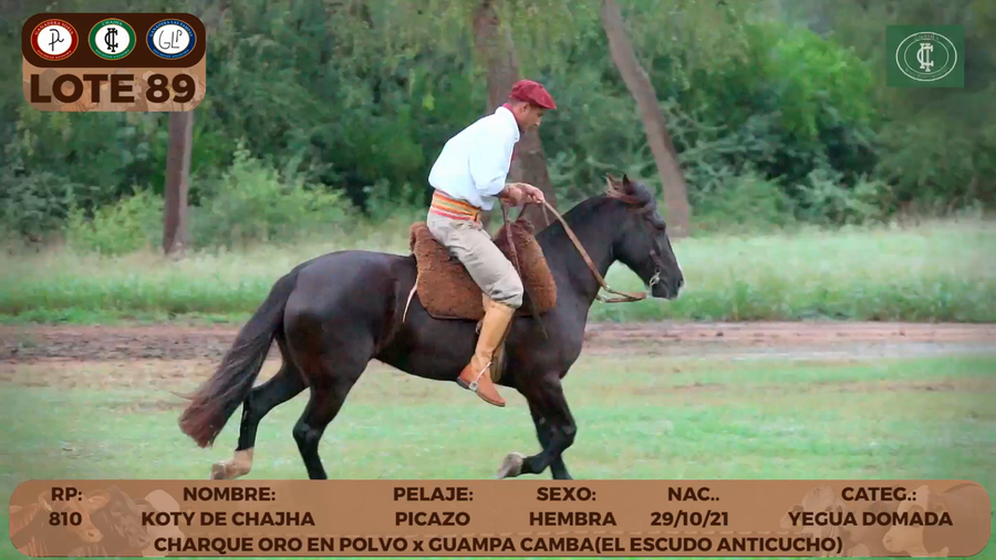 Lote LOTE 89