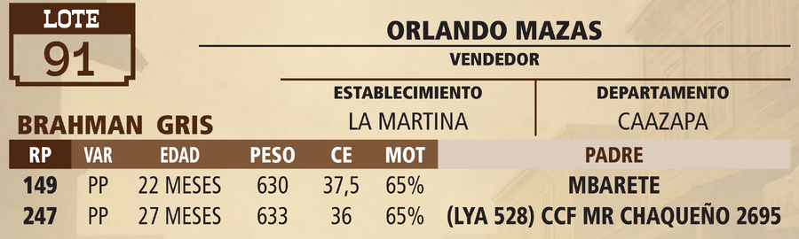 Lote LOTE 91 - VIVO