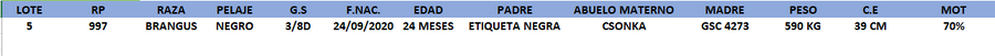 Lote LOTE 5