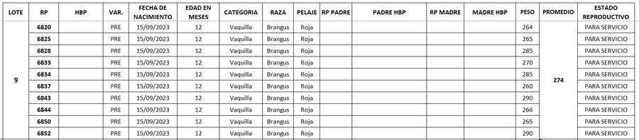 Lote LOTE 9