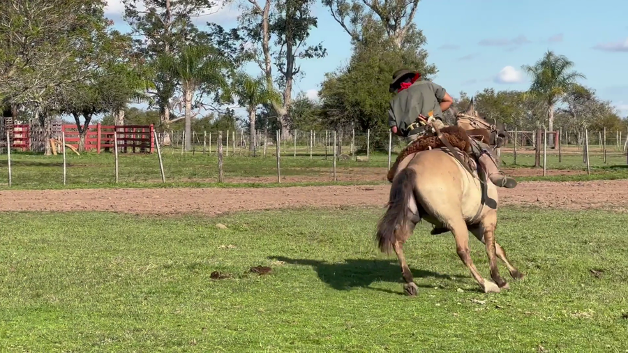 Lote 1 Montados en Corrientes, Curuzu Cuatia