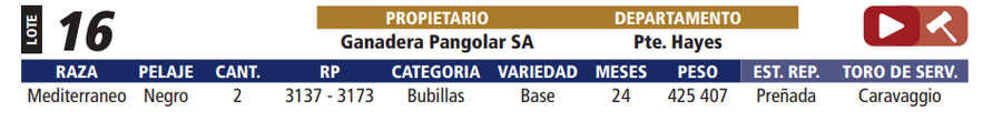 Lote LOTE 16