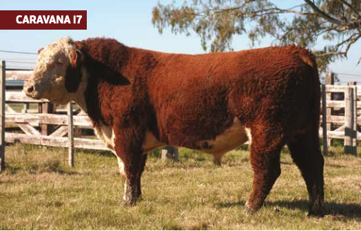 Lote S.E. REDEEM DURANGO