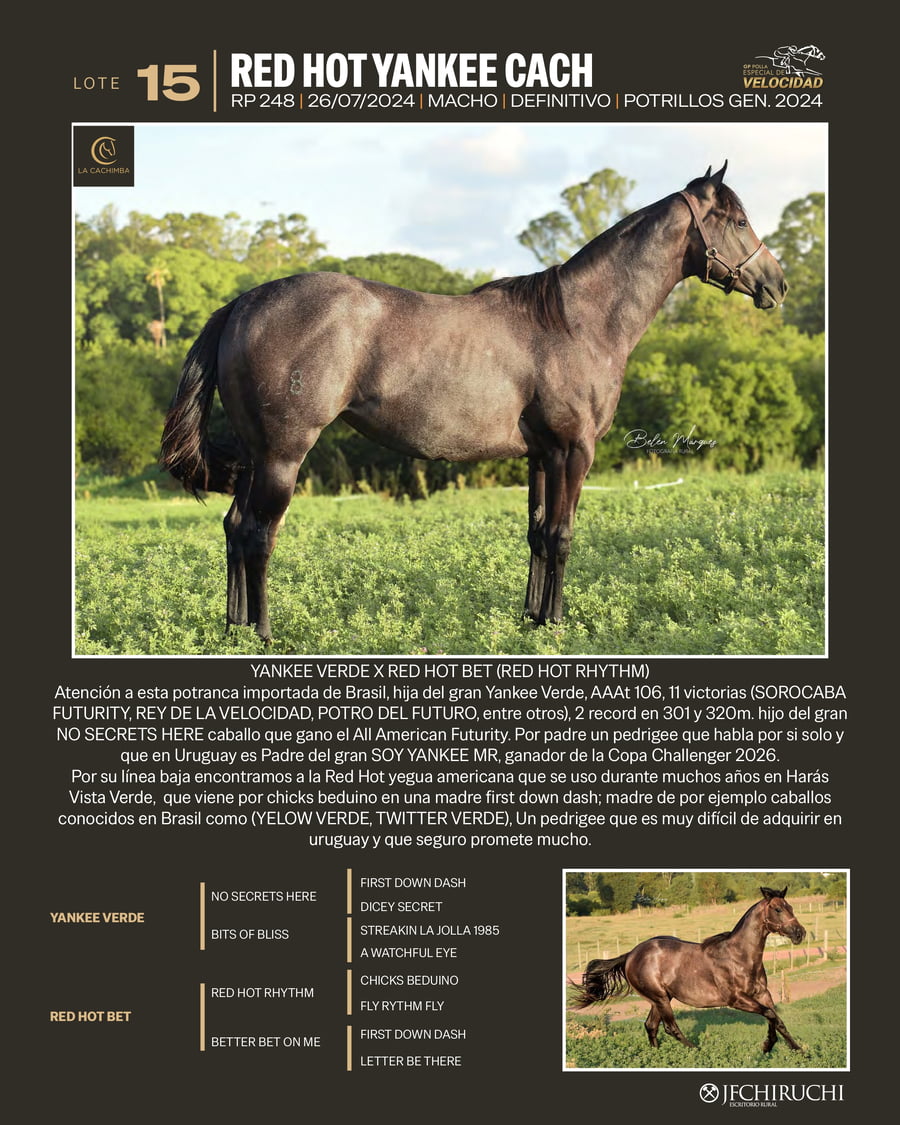 Lote RED HOT YANKEE CACH