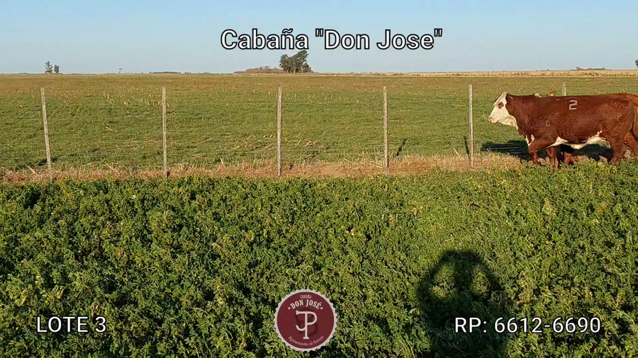 Lote CABAÑA DON JOSE