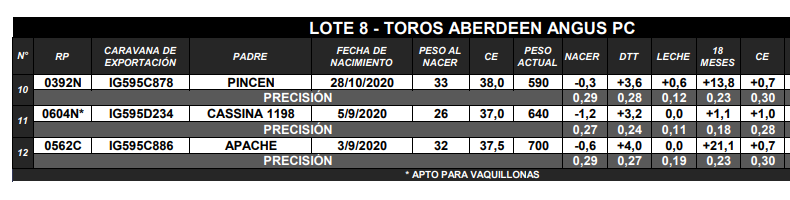 Lote TOROS ANGUS PC
