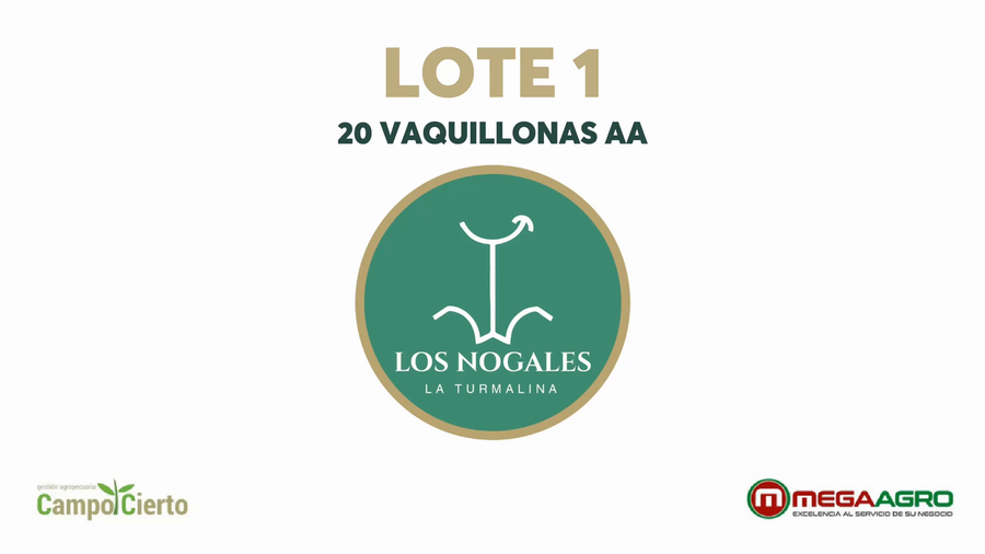 Lote LOS NOGALES