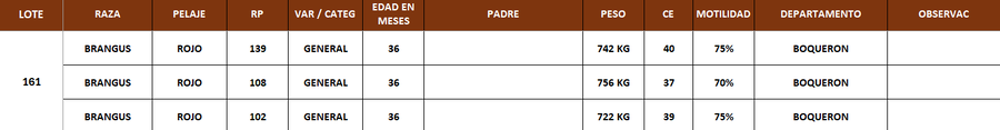 Lote LOTE 161