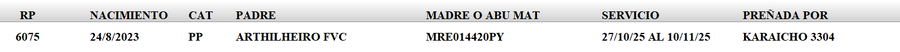 Lote LOTE 8