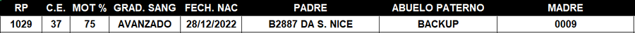 Lote LOTE 47