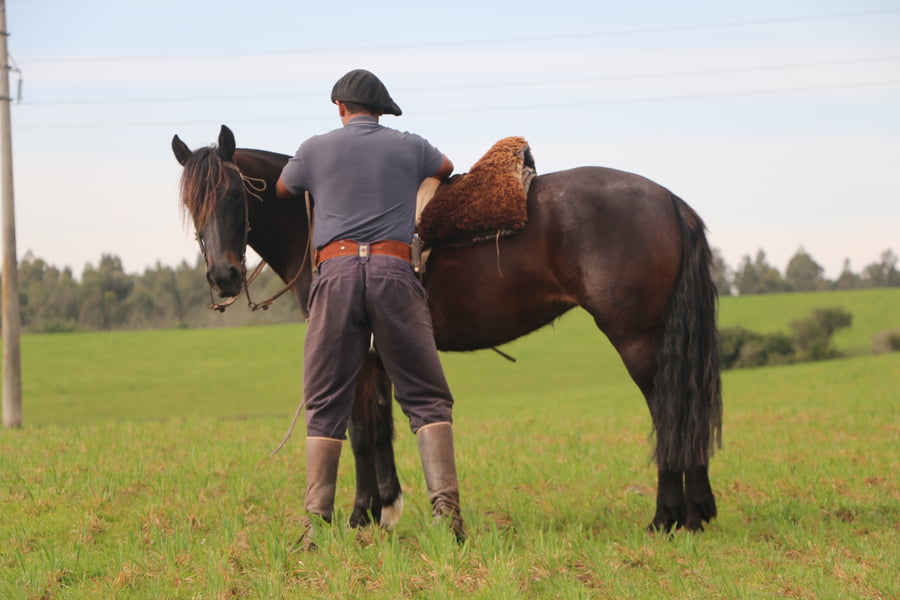 Lote ARPILLERA DEL CONVENTOS