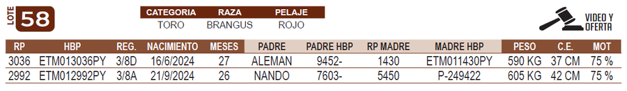 Lote LOTE 58