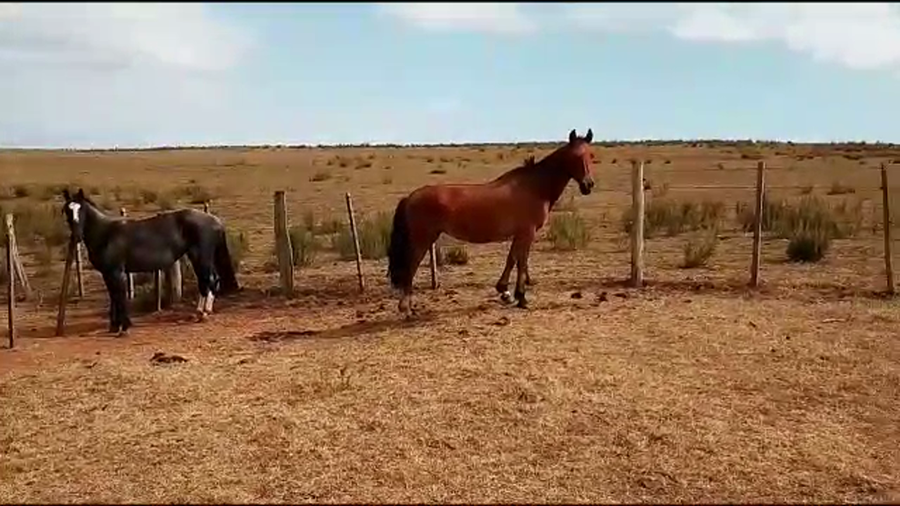 Lote Baraja Ibirapita