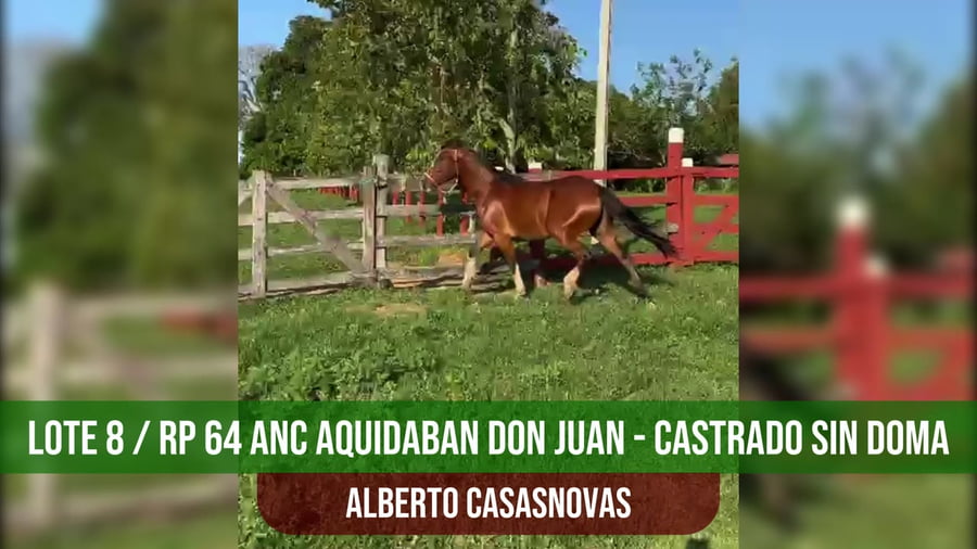 Lote ANC AQUIDABAN DON JUAN