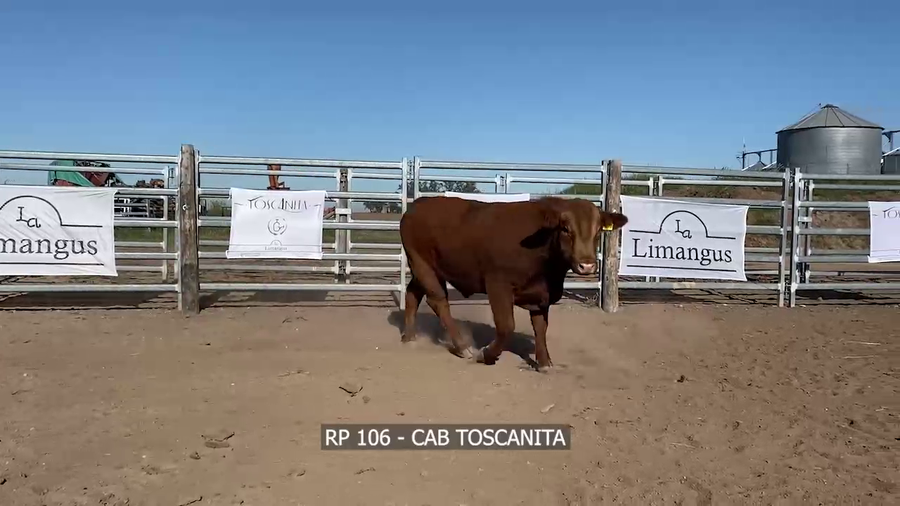 Lote RP 106 LA TOSCANITA