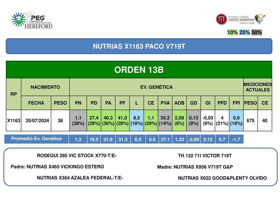 Lote ORDEN 13 TOROS PP