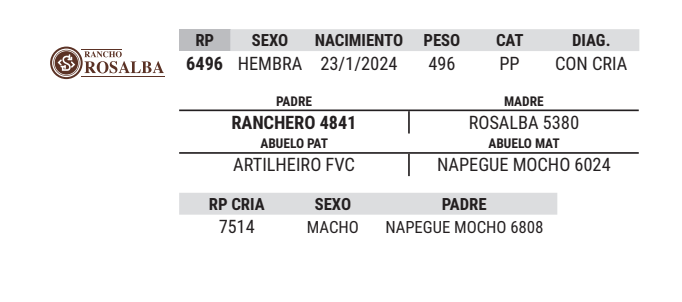 Lote LOTE 19