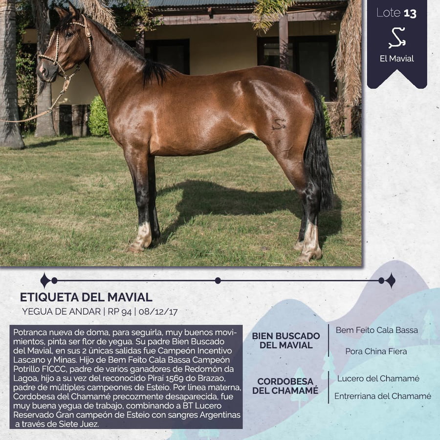 Lote ETIQUETA DEL MAVIAL