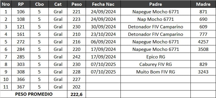 Lote LOTE 8- POR PANTALLA