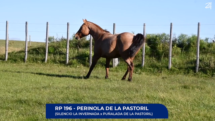 Lote Perinola de La Pastoril