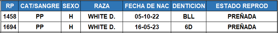 Lote LOTE 13