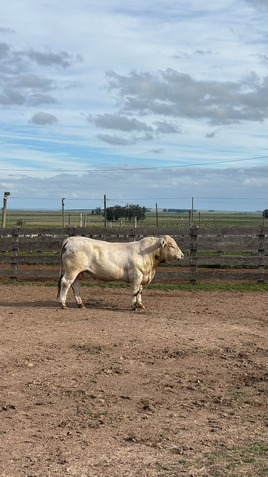 Lote La Margarita RP 710