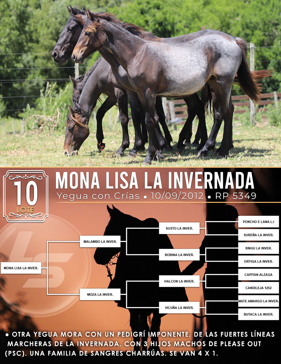 Lote MONA LISA L.I