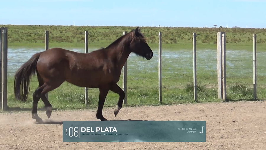 Lote Yeguarizos a remate en Criollos, Montevideo