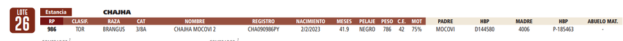 Lote LOTE 26