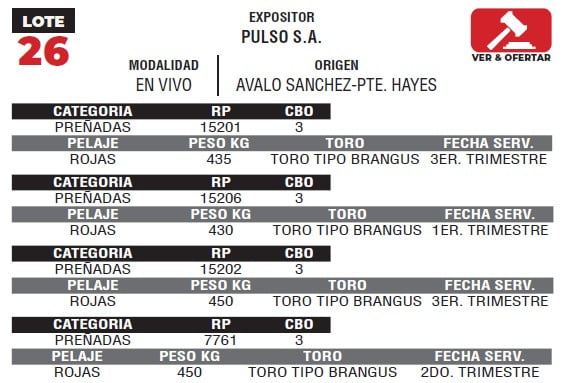 Lote LOTE 26- EN VIVO