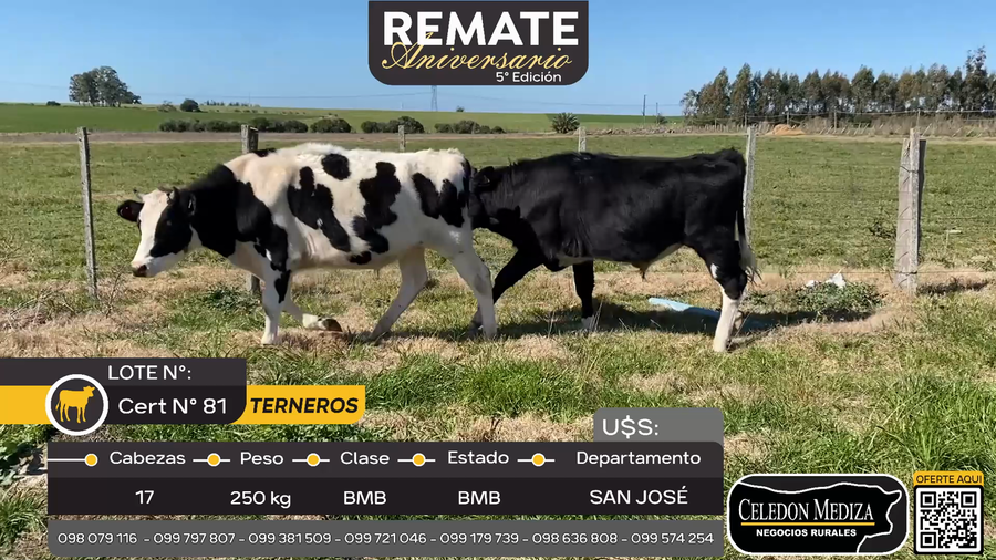 Lote 17 Terneros en Otra Localidad, San José