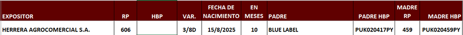 Lote LOTE 4