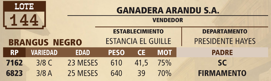 Lote LOTE 144 - VIVO