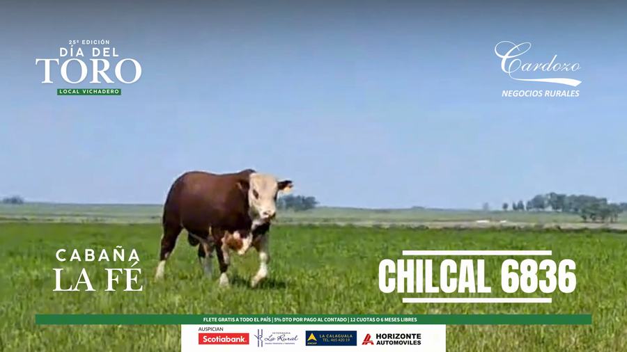 Lote Cabaña de la fe - Braford