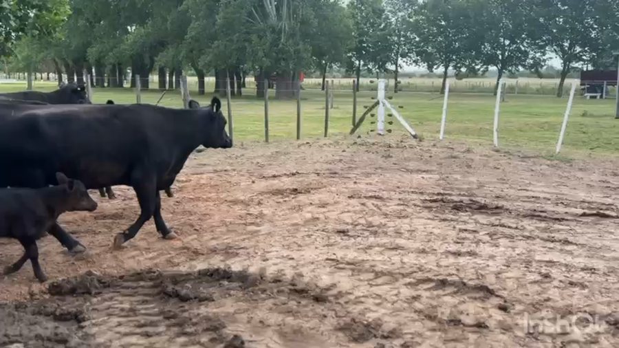 Lote 18 AL CTE NUEVAS Y MEDIO USO