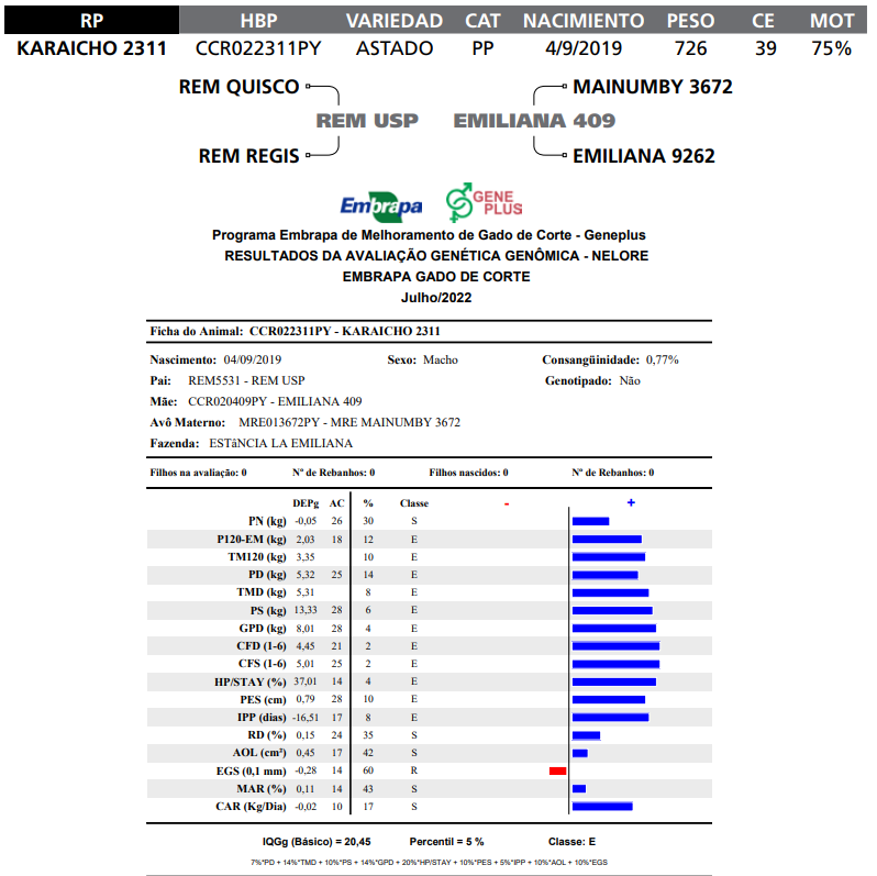 Lote LOTE  83 RP K2311