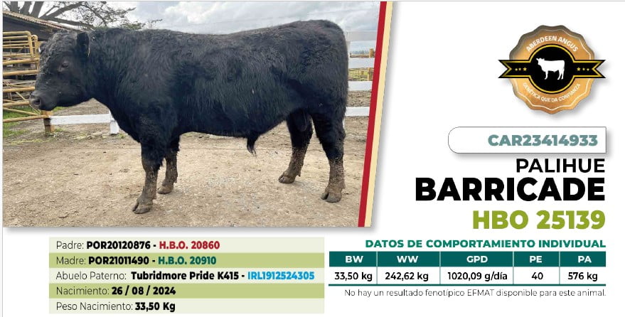Lote 1 Toro BARRICADE DIIO 4933