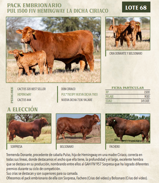 Lote LOTE 68