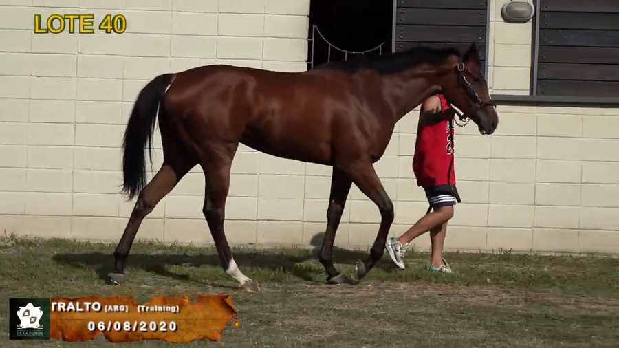 Lote La Contralto (Arg)