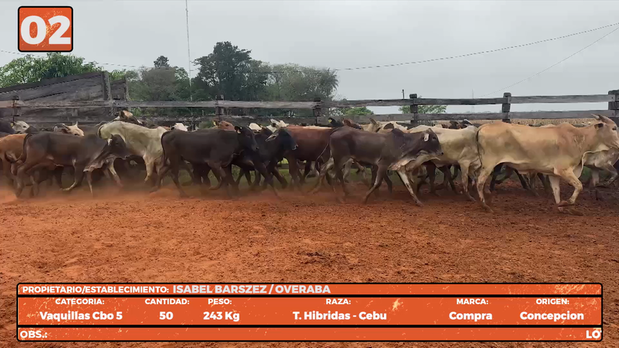 Lote LOTE 2