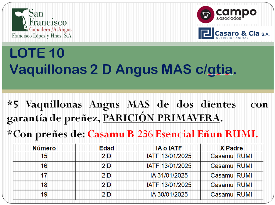 Lote 5 Vaquillonas Angus MaS con garantía de preñez, al parir San Francisco