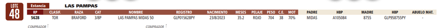 Lote LOTE 48