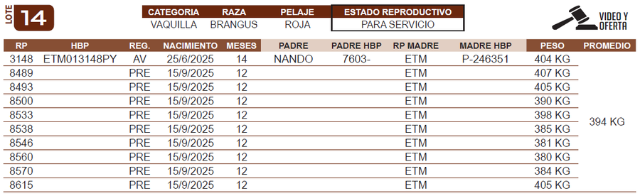 Lote LOTE 14