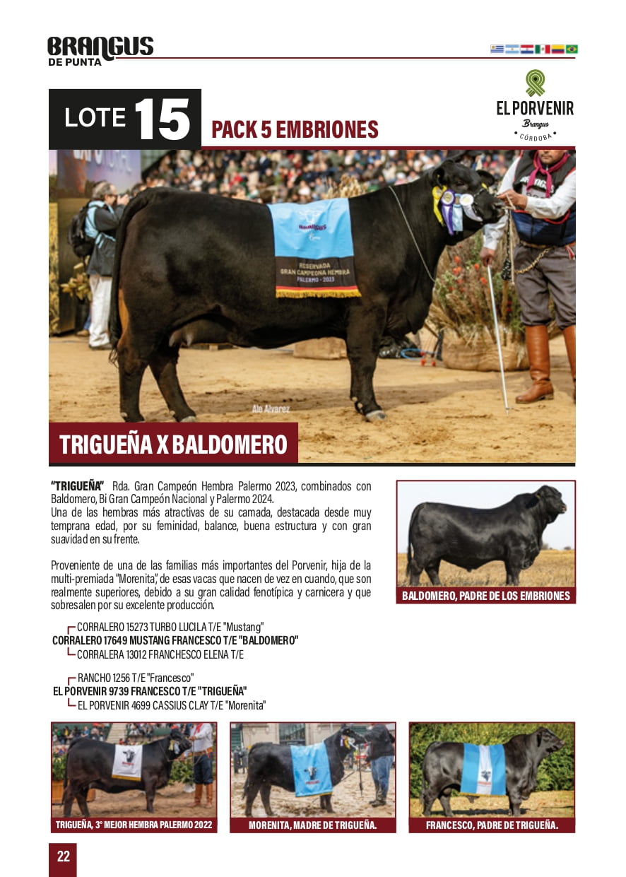 Lote PACK 5 EMBRIONES TRIGUEÑA X BALDOMERO