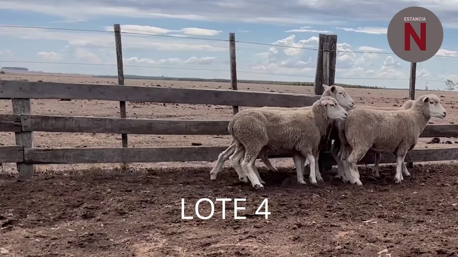Lote Lote 4 - Estancia Nueva