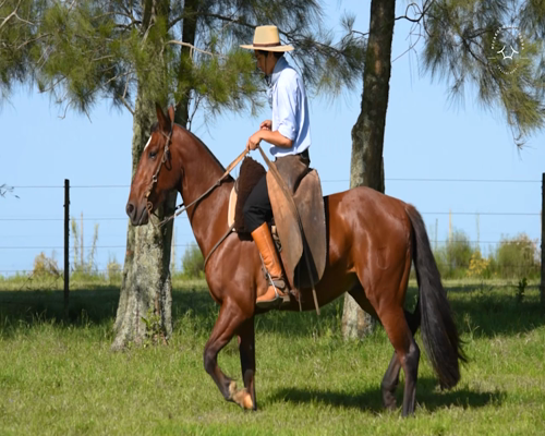Lote El Gavilán Malarriado (RP 421) Cabaña "El Gavilán"