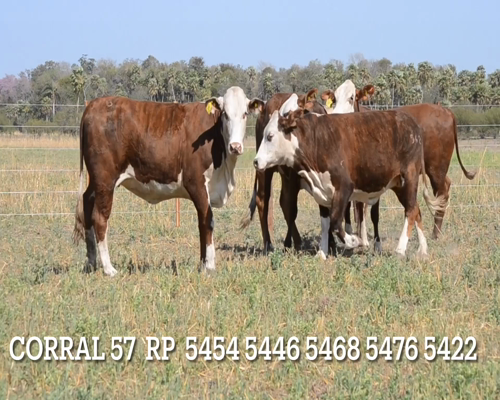 Lote CORRAL 57- CABAÑA LAS MERCEDES